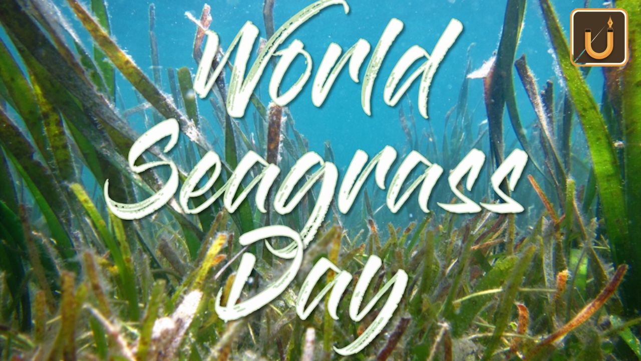 Usthadian Academy / World Seagrass Day 2024 | 02 mar 2024 Usthadian Academy / World Seagrass Day 2024